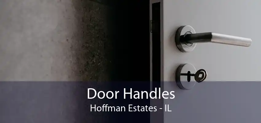 Door Handles Hoffman Estates - IL