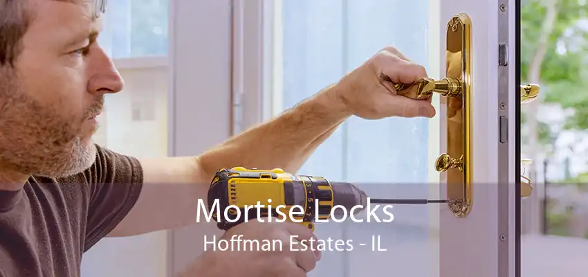 Mortise Locks Hoffman Estates - IL